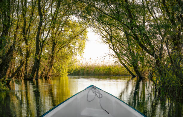 Boat in Danube Delta canal