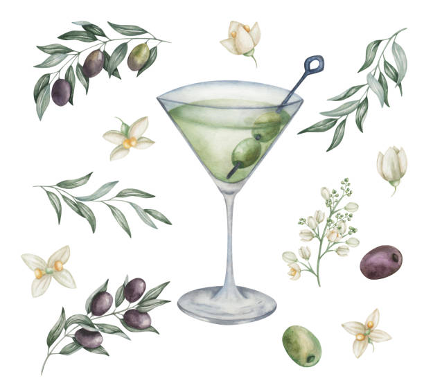 イラストの水彩セット。グリーンオリーブとマティーニグラスに手描きのドライマティーニカクテル。オリーブの花、枝。汚れたマティーニ。アルコール飲料飲料。メニューの分離型クリッ� - martini martini glass dirty martini olive点のイラスト素材／クリップアート素材／マンガ素材／アイコン素材