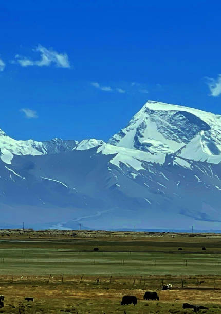 istock Landscape and Humanities in Tibet, China 1502249125