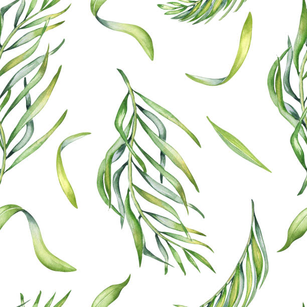 istock Palm leaves of acai tree watercolor seamless pattern isolated on white. Green brunch of tropical palm, exotic leaf hand drawn. Design element for wrapping, packaging, textile, background, paper 1502254532