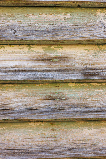 Close-up on wooden plank bungalow wall, weathered and textured, greenish patina, full frame