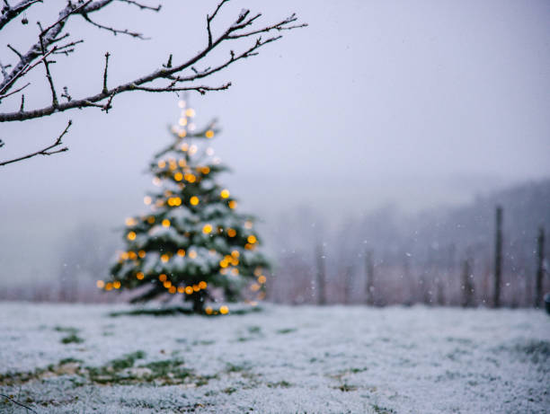 istock Illuminated Christmas tree on snow covered landscape 1502262060