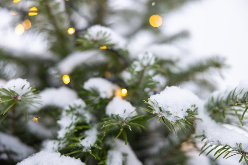 Close up of illuminated snow covered Christmas tree with abstract bokeh light background