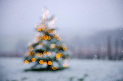 Defocused illuminated Christmas tree with abstract bokeh lights outdoors on snow covered landscape