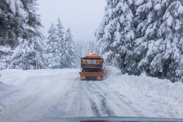 Big winter service vehicle driving down empty roadway and removing snow alongside coniferous trees