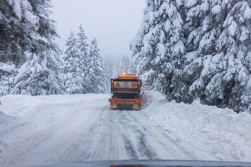 Big winter service vehicle driving down empty roadway and removing snow alongside coniferous trees