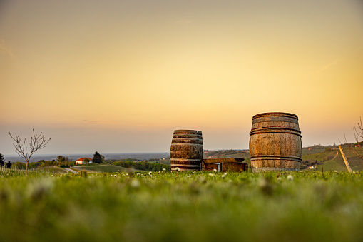 Scenic view of wine barrels on vineyard at rural agricultural field