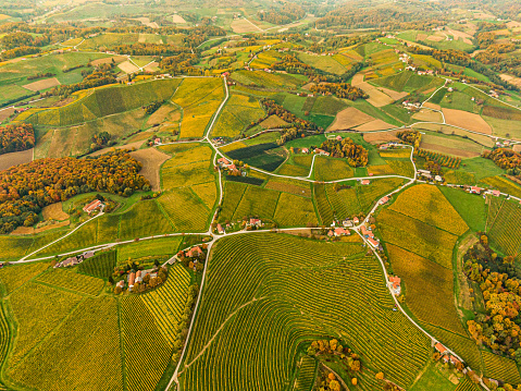 Scenic aerial view of green agricultural landscape with houses at roadside