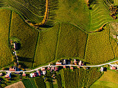 Aerial view of green agricultural landscape