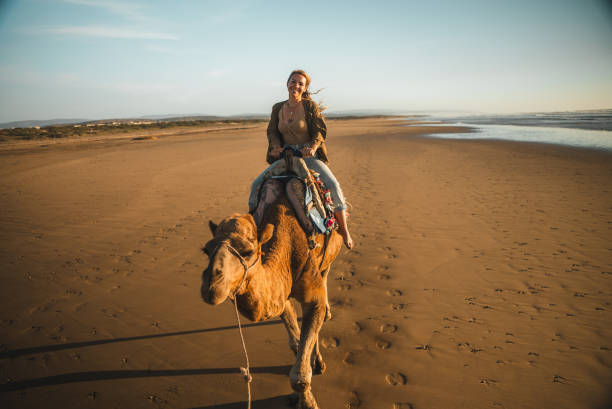 istock Happy woman riding camel in sahara desert 1502266548