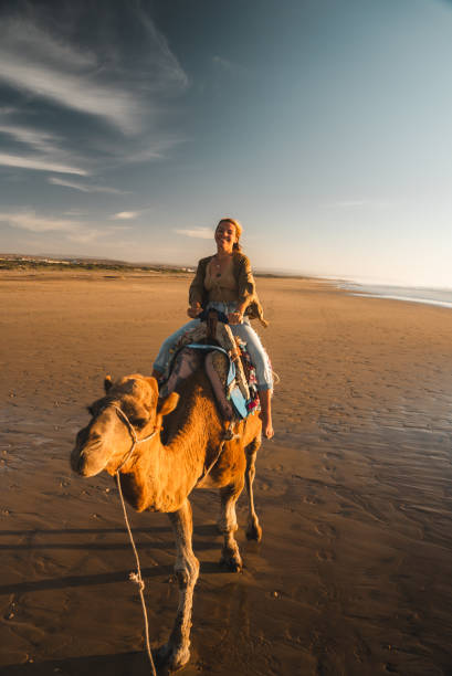 istock Happy woman riding camel in sahara desert 1502266596