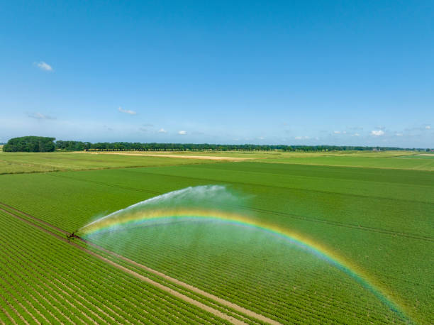 istock Irrigation pivot gun machinespraying water on a field 1502267179
