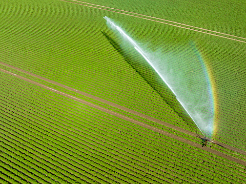 Irrigation pivot gun machinespraying water on a field during a dry and warm spring day in Flevoland, Netherlands. Over the last years there have been longer periods of draught causing problems for farmers cultivating crops.
