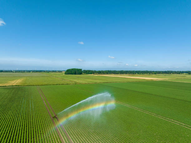 istock Irrigation pivot gun machinespraying water on a field 1502270654
