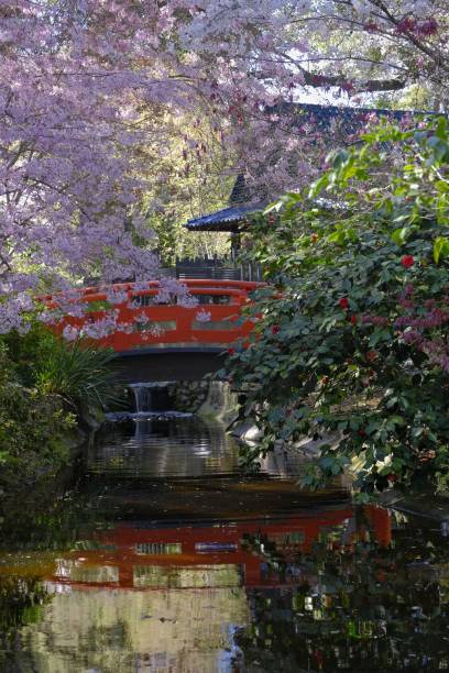 Bright red bridge is mirrored in the tranquil surface of a still pond