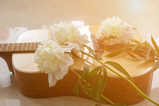 Three delicate white peonies lie on the sound box of the guitar. Romantic music background for advertising.