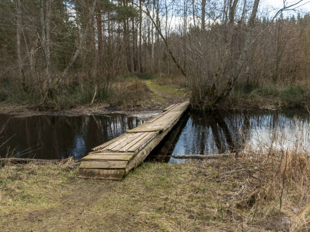 istock river view in early spring, dry grass and bare tree silhouettes 1502283533