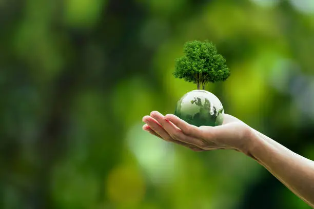 Global sustainable environment concept - ESG, net zero, eco, co2, carbon, human hand holding green globe orb with growing tree save our planet, world environment day, earth day and climate change