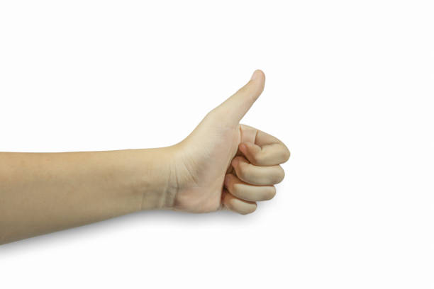 istock Thumbs Up, Cut Out, Women, White Background, Human Hand 1502306355