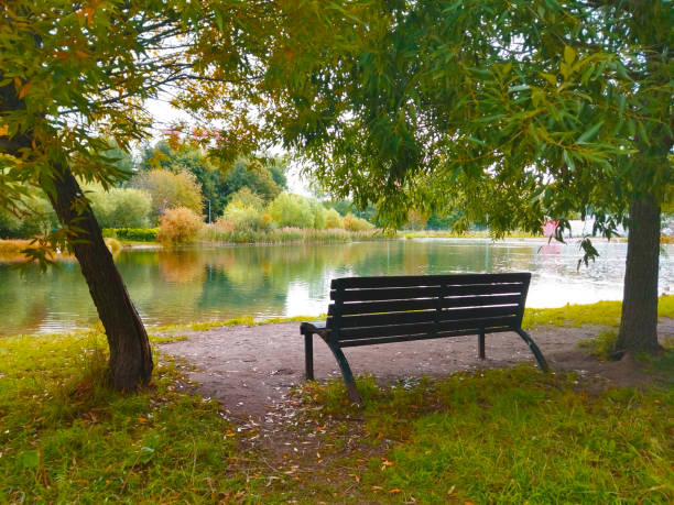 istock Park bench with trees on an autumn sunny day. 1502307359