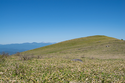 Refreshing summer plateau, Kirigamine plateau