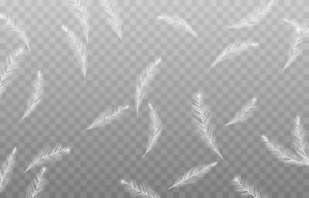 Vector illustration of Vector flying feathers. Flying feathers. Goose or chicken feathers. Filler for pillows, blankets, jackets. Realistic feathers.