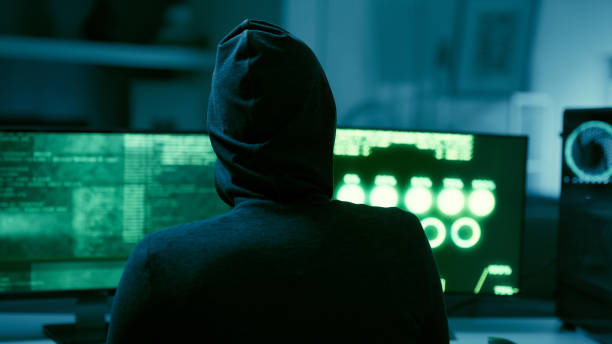 istock Hoodie, hacker and back of person at computer for criminal programming, cybersecurity or fraud of ransomware cofe. Thief, spy and hacking pc for scam, phishing virus or malware data for firewall risk 1502320394