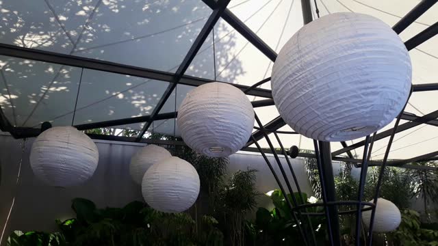 white lantern decorative lights in a café restaurant under a large umbrella and tables and chairs surrounded by ornamental plants
