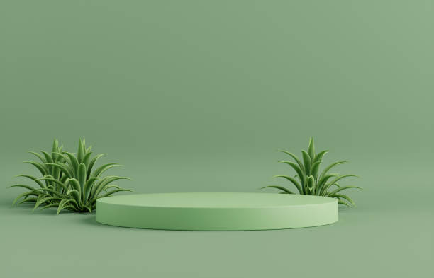 istock Product Podium - Green Podium, Green Background. 3D Illustration 1502326251