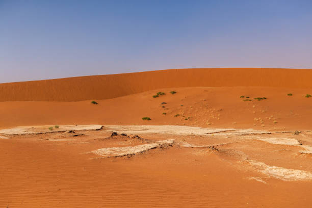 istock Desert landscape near Sossusvlei 1502344939
