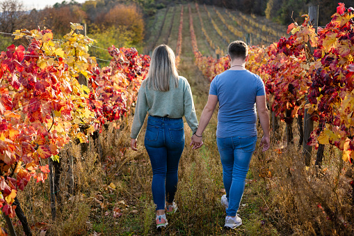 A heterosexual couple holding hands and walking together on a path looking at the grapes at a vineyard in the Napa Valley while on their honeymoon vacation.