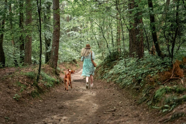 森の中の若い女性とハンガリーのヴィズラ犬 - 放浪願望 ストックフォトと画像