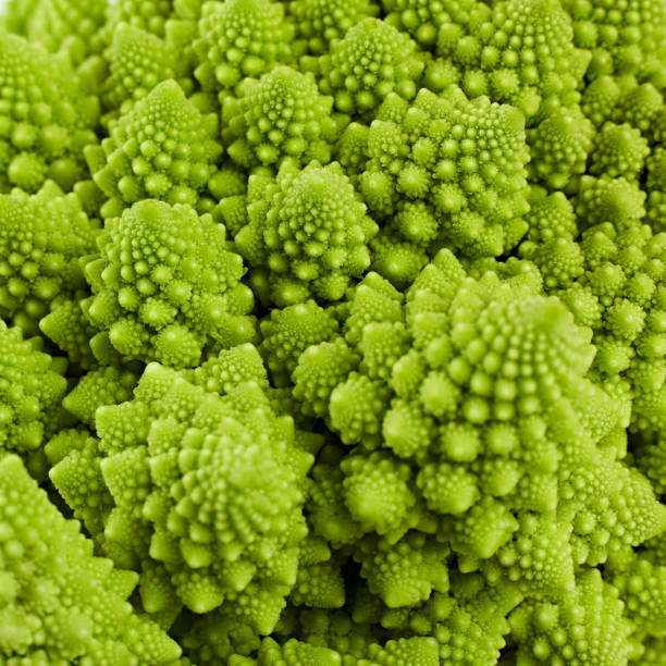 istock Texture of fresh romanesco broccoli cabbage, natural food background. Romanesco cabbage isolated on white. 1502384250