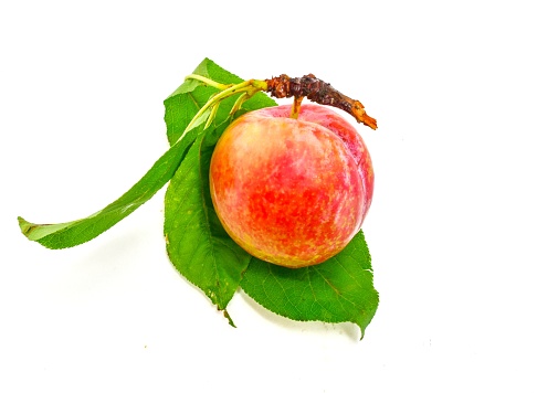 Peach fruit with green leaves on a white background.
