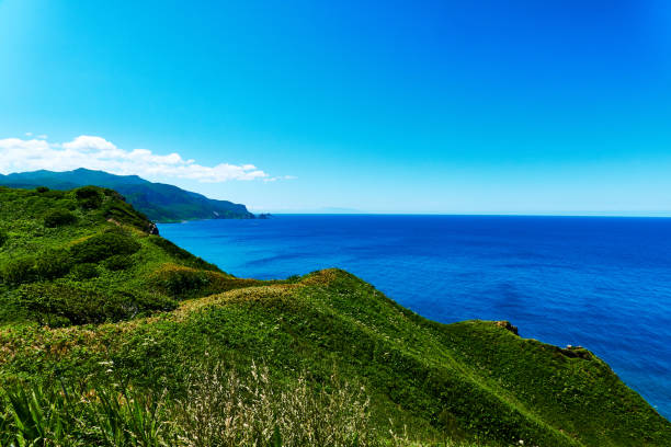 istock Scenic view of ocean against clear sky 1502387941