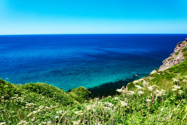 istock Scenic view of ocean with blue clear sky 1502387963