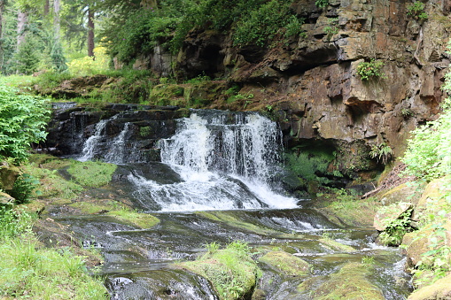 Waterfall in a wooded gorge flowing over smooth rocks