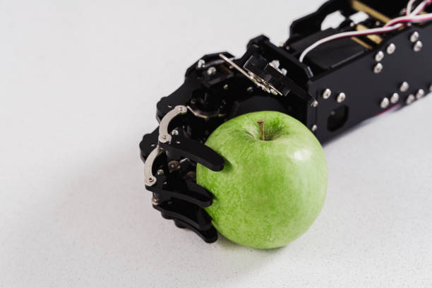 istock Real robot's hand with green apple. Concept of Artificial intelligence development and robotic process automation. 1502390782