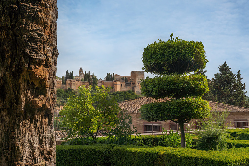 Gardens of Casa del Chapiz House with Alhambra on background - Granada, Andalusia, Spain