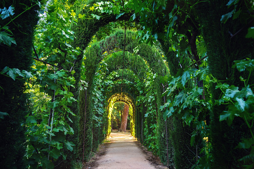 Green Tunnel at Carmen de los Martires Gardens - Granada, Andalusia, Spain