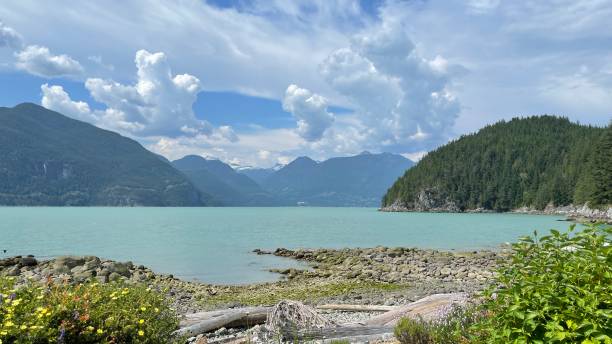 istock Oliver's Landing Beach, Furry Creek, BC 1502415859