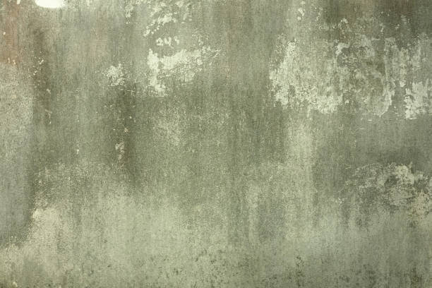 istock Old concrete white-black-gray wall textures for background with cracks textures,Abstract backgrounds. 1502416150
