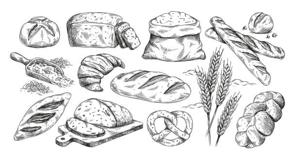 Bakery products set Bakery products set. Sketch with bread and bun, flour and wheat, loaf and bagel in hand drawn style. Farm, agriculture and cereals concept. Linear flat vector collection isolated on white background bread bakery baguette french culture stock illustrations