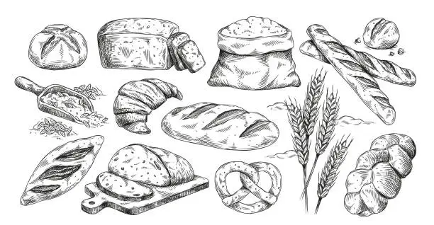 Vector illustration of Bakery products set