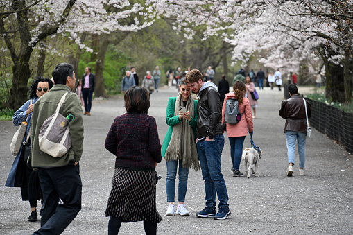 New York, USA, April 7, 2023 - Tourists, joggers, walkers and cyclists in springtime Central Park New York.