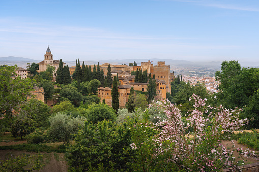 View of Alhambra with Flowers - Granada, Andalusia, Spain