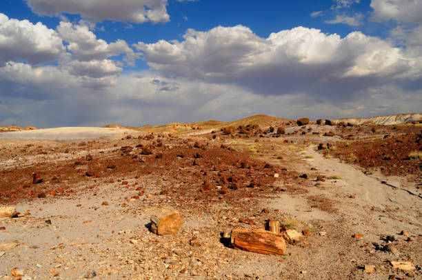 istock Rugged and Desolate Landscape Petrified Forest Arizona 1502418767