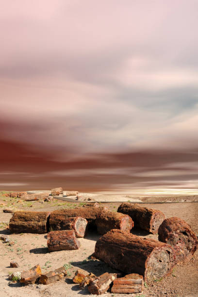 Rugged and Scenic landscape of the ancient petrified forest in Arizona