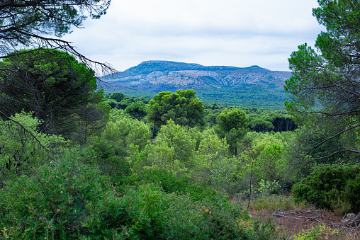Parc Natural del Montgrí near L'Escala, Spain