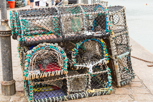 Group of crustacean traps